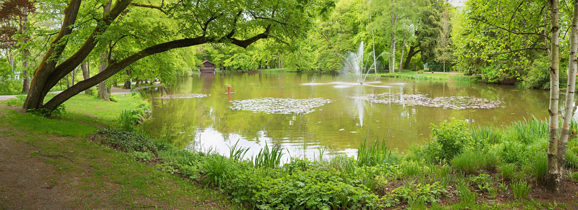 Gestalten mit Wasser/ Schwimmteichbau