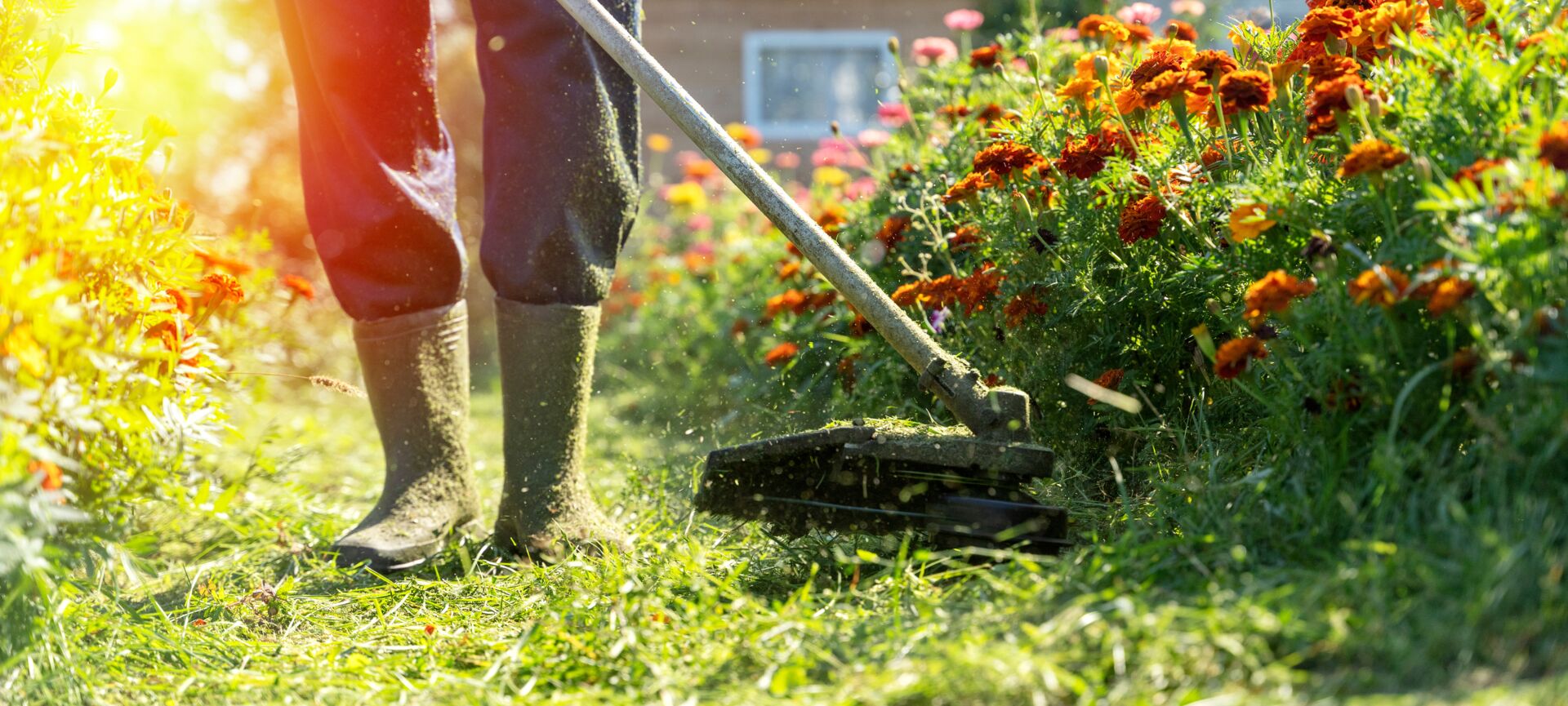 Gartenpflege durch GaLaBauer bei Reichenbach im Vogtland