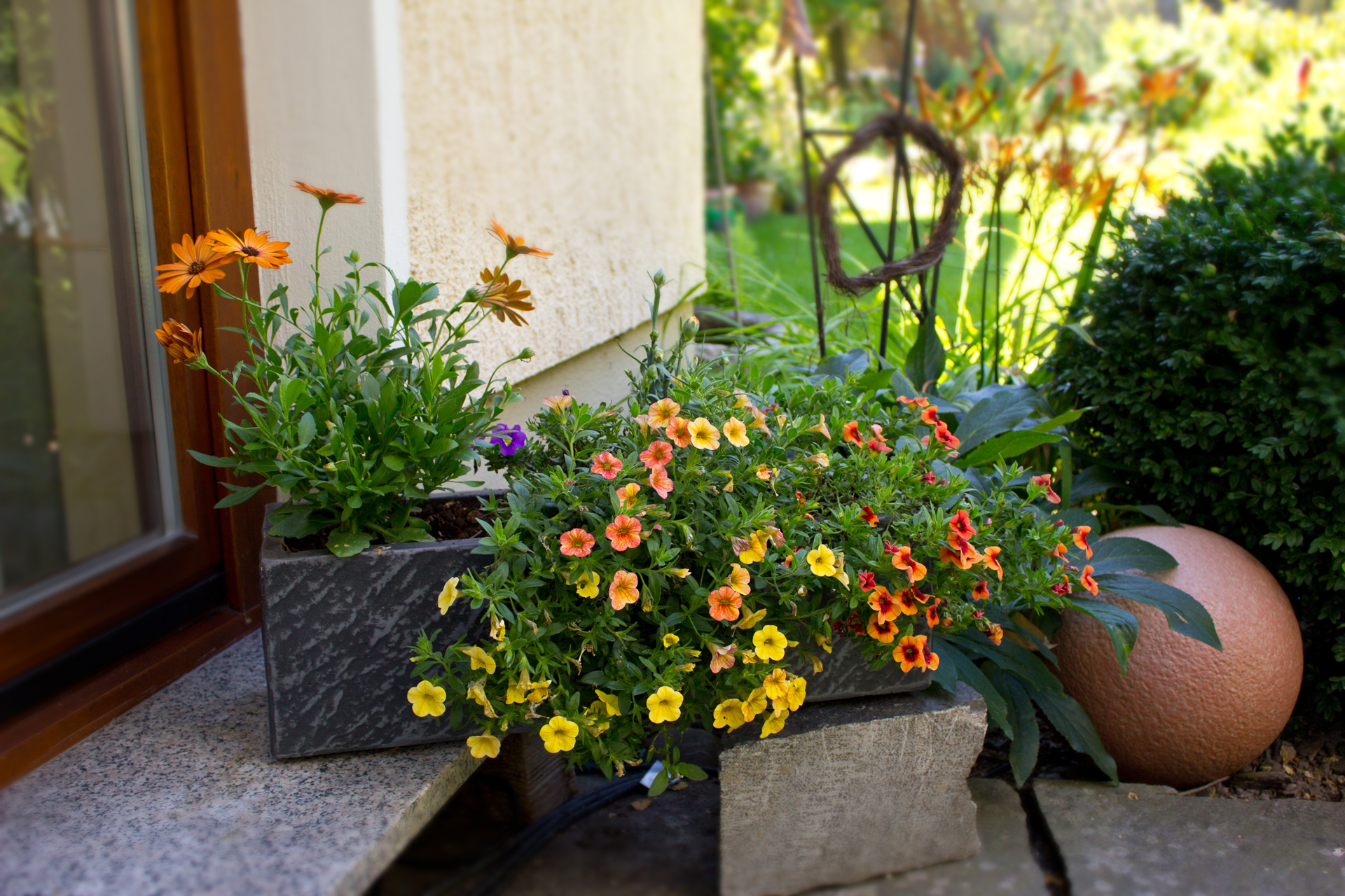 Blumenkasten, Beet- und Balkonpflanzen